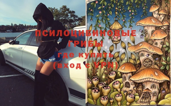 альфа пвп Белокуриха