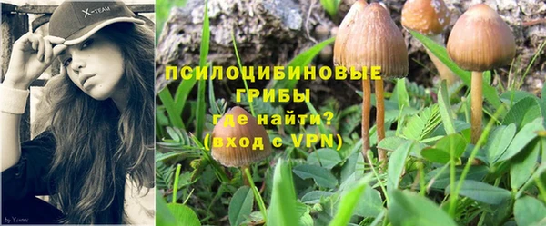 Альфа ПВП Белоозёрский